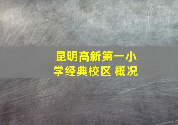 昆明高新第一小学经典校区 概况